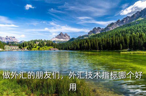 做外匯的朋友們，外匯技術(shù)指標(biāo)哪個好用