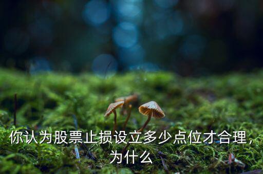 你認(rèn)為股票止損設(shè)立多少點位才合理，為什么