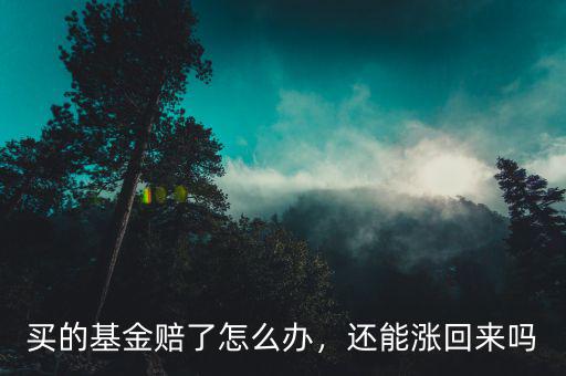 買的基金賠了怎么辦，還能漲回來嗎