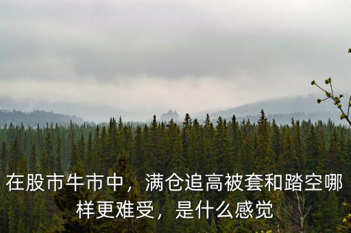 在股市牛市中，滿倉(cāng)追高被套和踏空哪樣更難受，是什么感覺(jué)