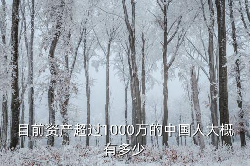 目前資產(chǎn)超過1000萬的中國(guó)人大概有多少