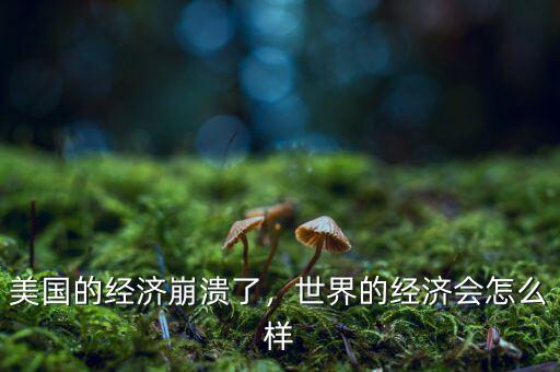 美國(guó)的經(jīng)濟(jì)崩潰了，世界的經(jīng)濟(jì)會(huì)怎么樣