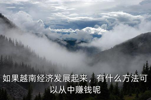 如果越南經濟發(fā)展起來，有什么方法可以從中賺錢呢