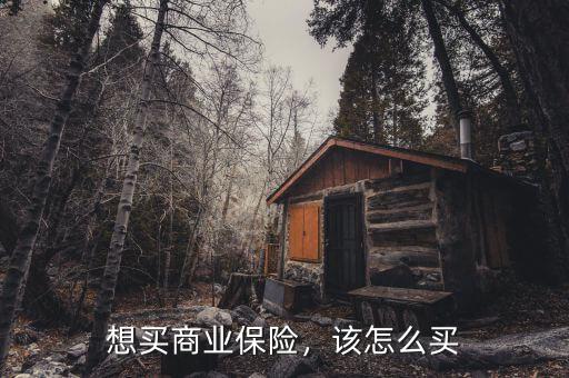 想買商業(yè)保險(xiǎn)，該怎么買