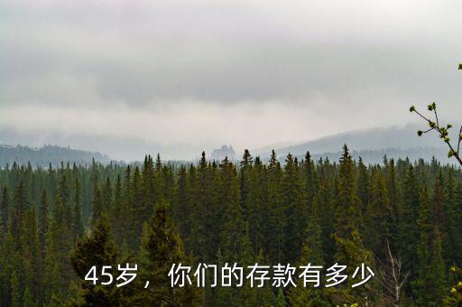 45歲，你們的存款有多少