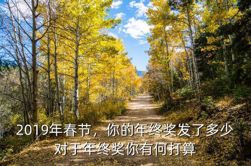 2019年春節(jié)，你的年終獎發(fā)了多少對于年終獎你有何打算
