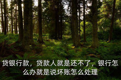 貸銀行款，貸款人就是還不了，銀行怎么辦就是說壞賬怎么處理