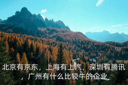 北京有京東，上海有上汽，深圳有騰訊，廣州有什么比較牛的企業(yè)