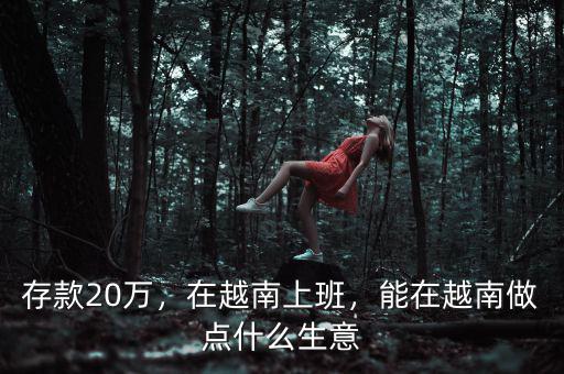 存款20萬，在越南上班，能在越南做點什么生意