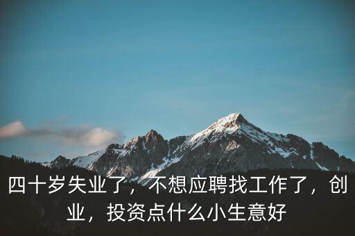 四十歲失業(yè)了，不想應(yīng)聘找工作了，創(chuàng)業(yè)，投資點(diǎn)什么小生意好