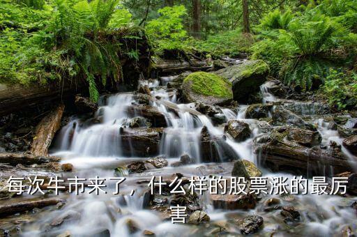 每次牛市來了，什么樣的股票漲的最厲害
