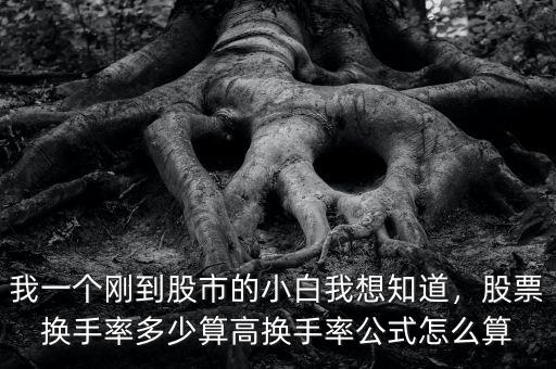 我一個(gè)剛到股市的小白我想知道，股票換手率多少算高換手率公式怎么算