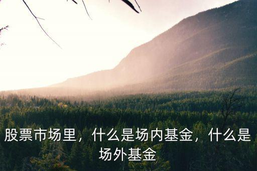 股票市場(chǎng)里，什么是場(chǎng)內(nèi)基金，什么是場(chǎng)外基金