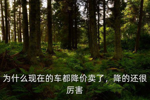 為什么現(xiàn)在的車都降價賣了，降的還很厲害