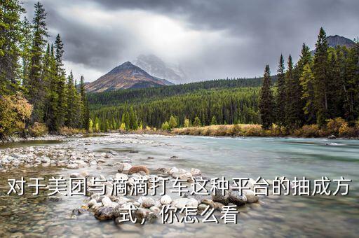 對(duì)于美團(tuán)與滴滴打車這種平臺(tái)的抽成方式，你怎么看