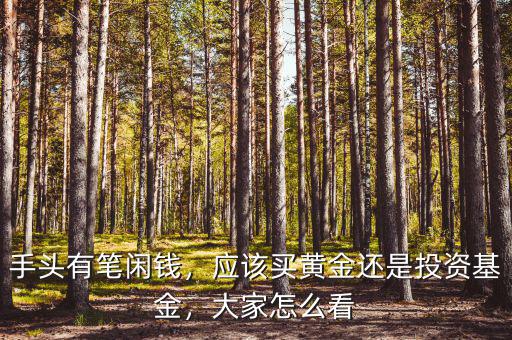 手頭有筆閑錢，應(yīng)該買黃金還是投資基金，大家怎么看