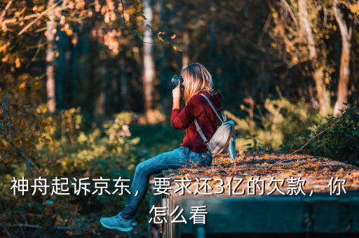 神舟起訴京東，要求還3億的欠款，你怎么看