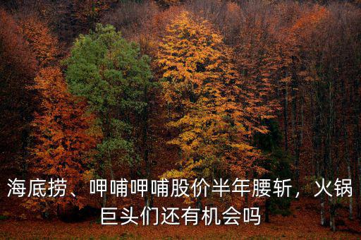 海底撈、呷哺呷哺股價半年腰斬，火鍋巨頭們還有機會嗎