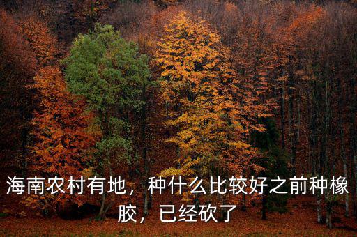 海南農(nóng)村有地，種什么比較好之前種橡膠，已經(jīng)砍了