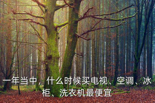 一年當(dāng)中，什么時(shí)候買電視、空調(diào)、冰柜、洗衣機(jī)最便宜