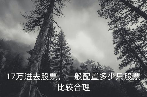 17萬進(jìn)去股票，一般配置多少只股票比較合理