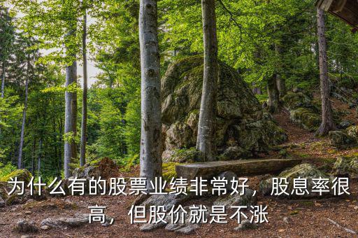 為什么有的股票業(yè)績非常好，股息率很高，但股價就是不漲
