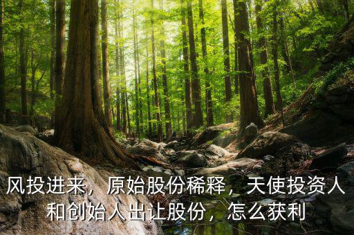 風(fēng)投進(jìn)來，原始股份稀釋，天使投資人和創(chuàng)始人出讓股份，怎么獲利