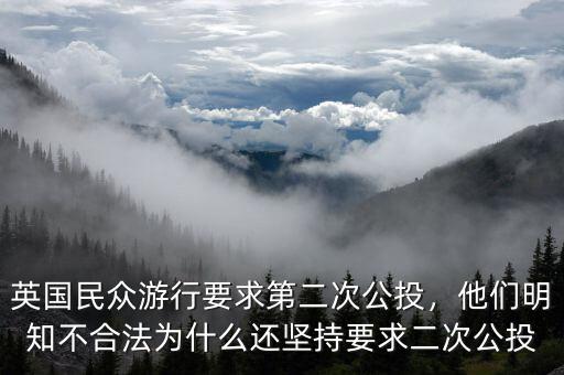英國民眾游行要求第二次公投，他們明知不合法為什么還堅(jiān)持要求二次公投