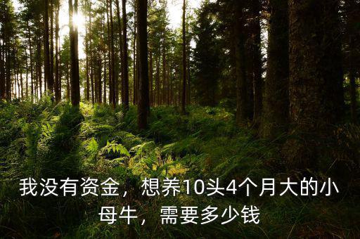 我沒有資金，想養(yǎng)10頭4個月大的小母牛，需要多少錢