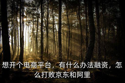 想開(kāi)個(gè)電商平臺(tái)，有什么辦法融資，怎么打敗京東和阿里