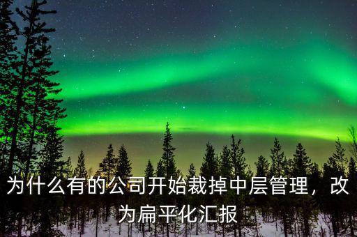 為什么有的公司開始裁掉中層管理，改為扁平化匯報