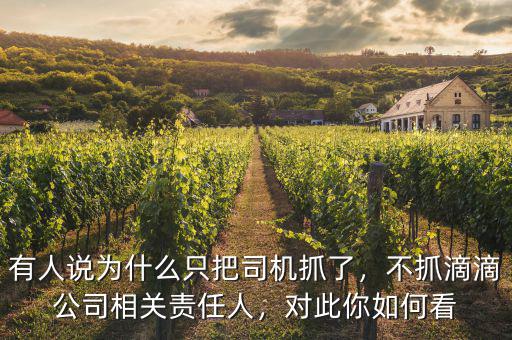 有人說為什么只把司機抓了，不抓滴滴公司相關責任人，對此你如何看