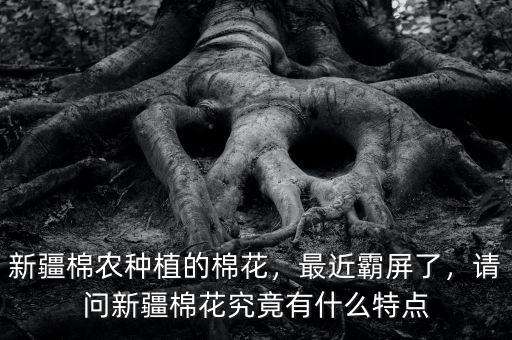 新疆棉農(nóng)種植的棉花，最近霸屏了，請(qǐng)問(wèn)新疆棉花究竟有什么特點(diǎn)
