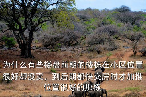 為什么有些樓盤前期的樓棟在小區(qū)位置很好卻沒賣，到后期都快交房時才加推位置很好的那棟