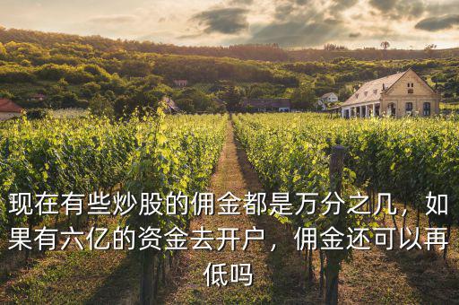 現(xiàn)在有些炒股的傭金都是萬(wàn)分之幾，如果有六億的資金去開(kāi)戶，傭金還可以再低嗎