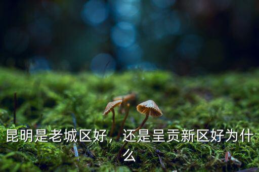 昆明是老城區(qū)好，還是呈貢新區(qū)好為什么