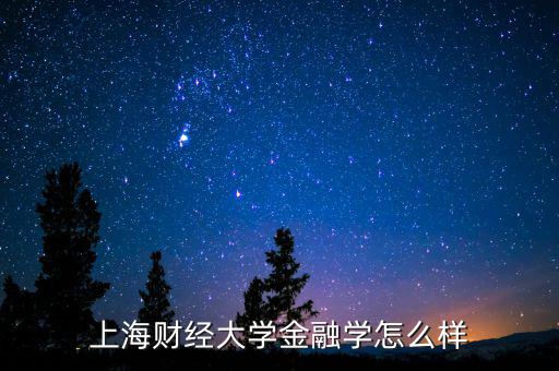 上海開利財(cái)經(jīng)怎么樣,上海財(cái)經(jīng)大學(xué)數(shù)學(xué)專業(yè)怎么樣
