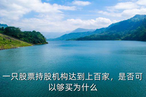 一只股票持股機構(gòu)達(dá)到上百家，是否可以夠買為什么