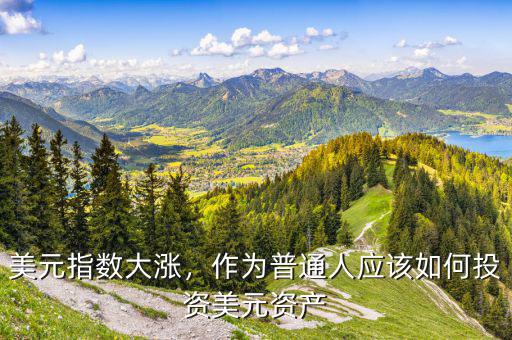 國內怎么投資美元資產,美元指數(shù)大漲