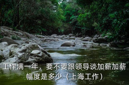 工作滿一年，要不要跟領(lǐng)導(dǎo)談加薪加薪幅度是多少（上海工作）