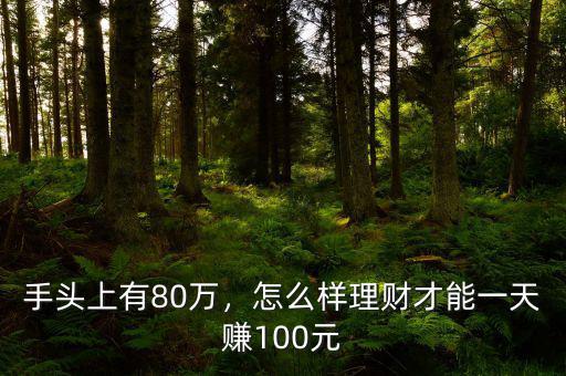 手頭上有80萬(wàn)，怎么樣理財(cái)才能一天賺100元