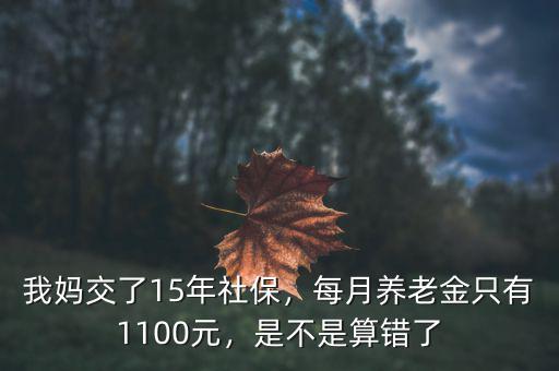 我媽交了15年社保，每月養(yǎng)老金只有1100元，是不是算錯了