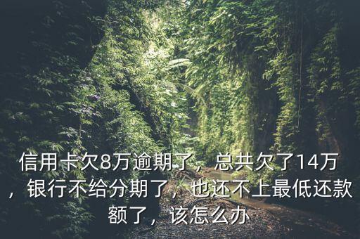 信用卡欠8萬逾期了，總共欠了14萬，銀行不給分期了，也還不上最低還款額了，該怎么辦