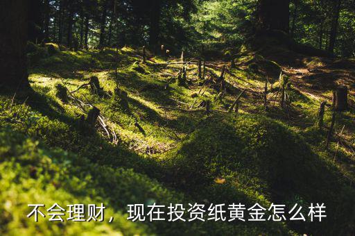 不會(huì)理財(cái)，現(xiàn)在投資紙黃金怎么樣