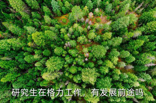 研究生在格力工作，有發(fā)展前途嗎