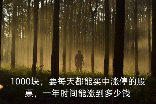 1000塊，要每天都能買中漲停的股票，一年時間能漲到多少錢