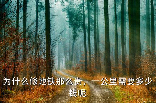 為什么修地鐵那么貴，一公里需要多少錢呢