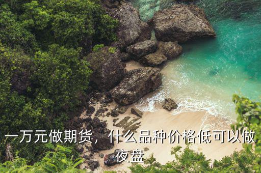 一萬元做期貨，什么品種價格低可以做夜盤