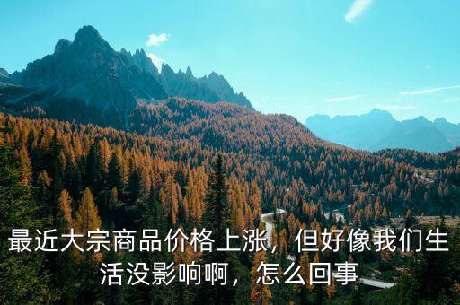 最近大宗商品價格上漲，但好像我們生活沒影響啊，怎么回事