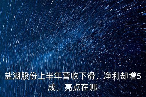 鹽湖股份上半年?duì)I收下滑，凈利卻增5成，亮點(diǎn)在哪